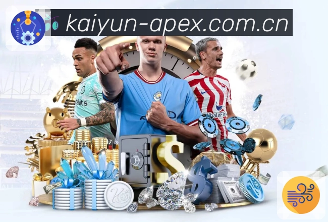 开云平台展示图